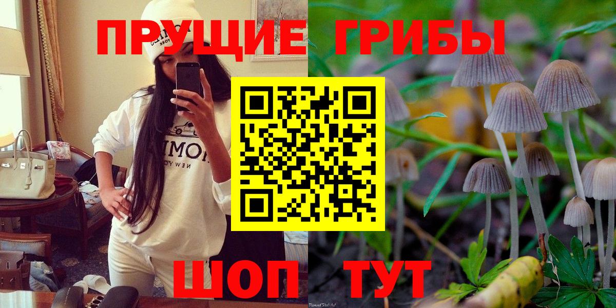 Галлюциногенные грибы Cubensis  Псилоцибиновые грибы Psilocybine cubensis  Россошь  Вход с VPN 